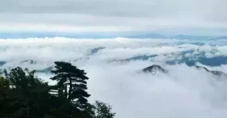 全国近视眼手术专家排行榜：中山眼科周胜、视百年眼科李国保对比