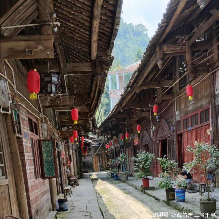 狐狸的旅程